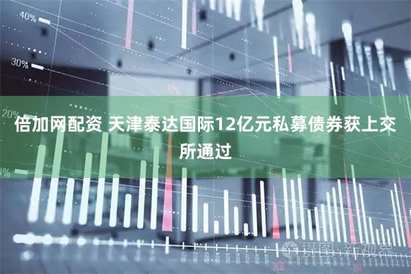 倍加网配资 天津泰达国际12亿元私募债券获上交所通过