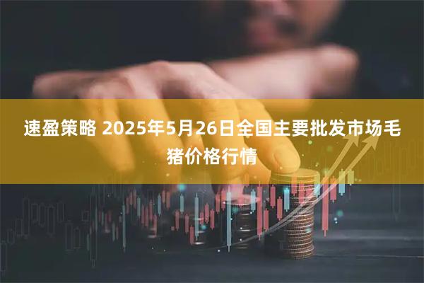 速盈策略 2025年5月26日全国主要批发市场毛猪价格行情