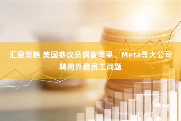 汇盈策略 美国参议员调查苹果、Meta等大公司聘用外籍员工问题